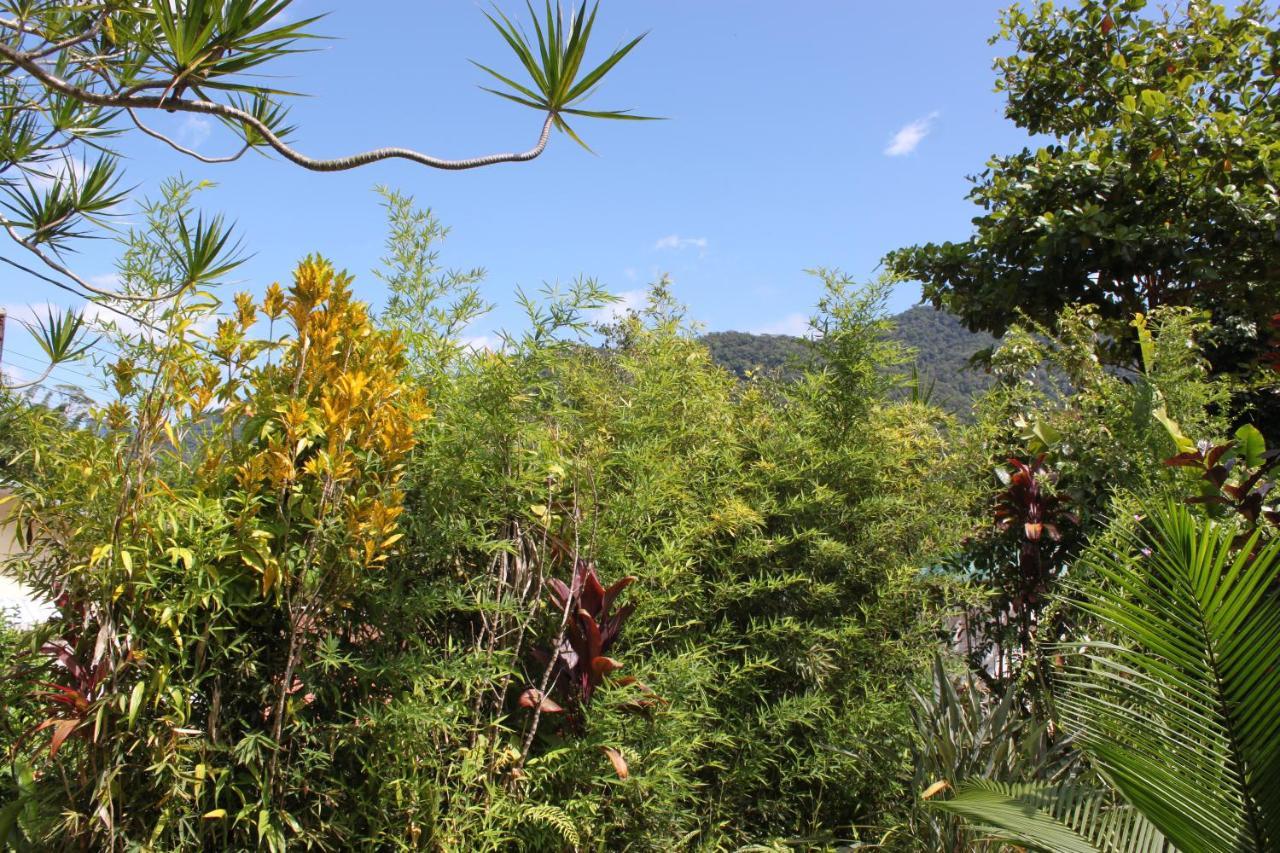 Casa com piscina aquecida e com grande área verde. Ubatuba Exterior foto